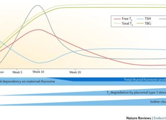 Rối loạn chức năng tuyến giáp trong thai kỳ