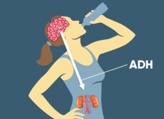 Bệnh đái tháo nhạt trung ương – Nguyên nhân từ đâu?