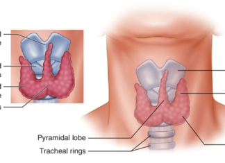 Sự liên quan giữa vị trí nhân giáp và nguy cơ ác tính của nhân giáp