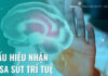 10 dấu hiệu nhận biết sa sút trí tuệ